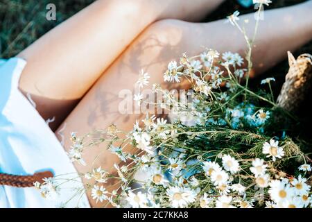 A woman in a short skirt sits in a field with a bunch of small daisies nearby. She is holding a bouquet of daisies.Legs in flowers camomiles on a natu Stock Photo