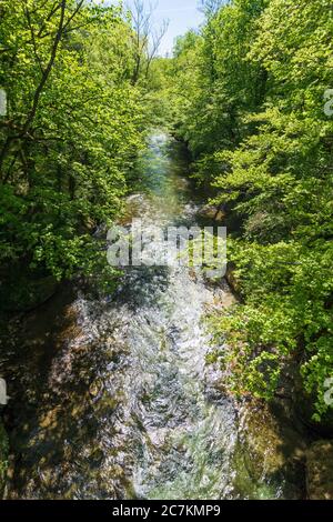 Purgstall an der Erlauf, Erlaufschlucht (river Erlauf gorge), Mostviertel region, Niederösterreich / Lower Austria, Austria Stock Photo