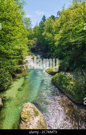 Purgstall an der Erlauf, Erlaufschlucht (river Erlauf gorge), Mostviertel region, Niederösterreich / Lower Austria, Austria Stock Photo