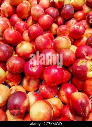 Vertical shot of fresh nectarines in the market Stock Photo