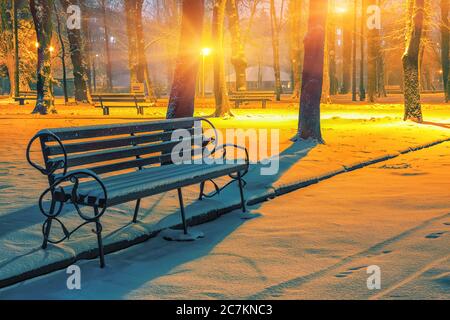 Winter park with benches covered with snow in the evening. Winter evening in a central park. Stock Photo