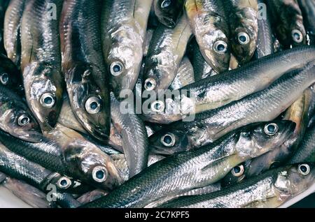 Smelt fisherman hi-res stock photography and images - Alamy