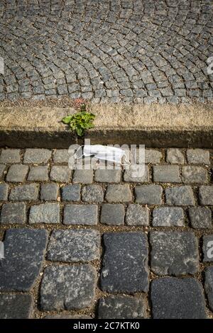 Germany, Bavaria, Eichstatt, discarded mouth-nose guard on the roadside. Stock Photo