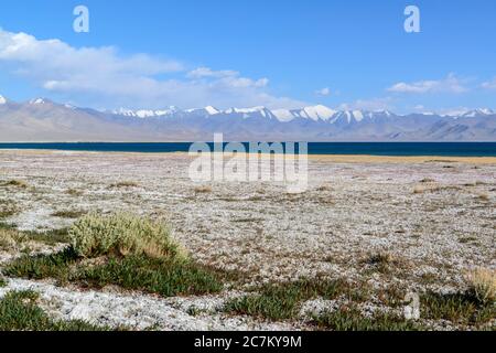 Salt on the bank of Lake Kara-Kul along the Pamir Highway. Tajikistan. Stock Photo