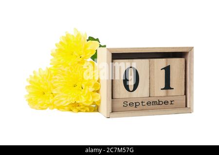 Сhrysanthemums and wooden calendar with date September 1 isolated on white background Stock Photo