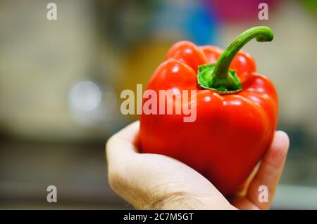 Person holding a large red pepper in their hand Stock Photo