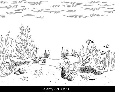 Underwater graphic sea black white sketch illustration vector Stock Vector