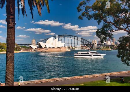 The Opera House and Sydney Harbour Bridge framed by trees and viewed across Farm Cove from Mrs Macquarie's Point, Sydney, New South Wales, Australia Stock Photo