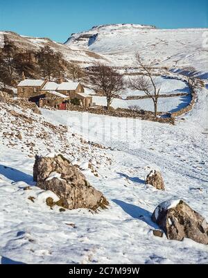 This is Ingleborough mountain in winter  viewed from Crina Bottom hill farm one of the famous Yorkshire Dales Three Peaks of Ingleborough, Whernside and Penyghent around 1980 Stock Photo