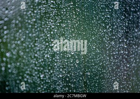 Abstract background of wet window glass with rain water drops. Summer green blurred backdrop and selective focus. Stock Photo