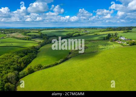 Devon Spring Time Spring in Devon near Tiverton, Devon, England, United Kingdom, Europe ...
