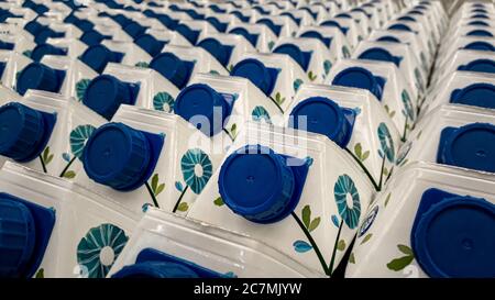 Close up shot of dozens of industrial plastic milk bottles in a well organized line Stock Photo