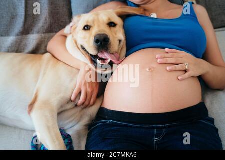 Young Pregnant Woman Lying On Bed With Dog Stock Photo