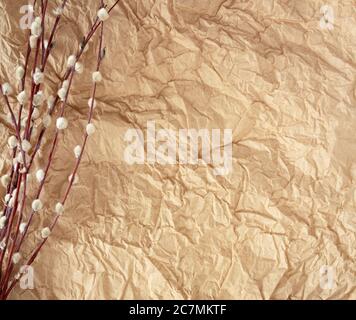 willow branches on craft background with copy space Stock Photo