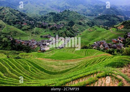 Dragon's Backbone Rice Terraces in Dazhai Village, Longsheng County, China Stock Photo