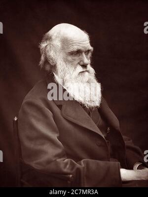 Charles Robert Darwin, evolutionist and author of The Origin of Species, in an 1878 photograph by Leonard Darwin, Charles Darwin's son. Stock Photo