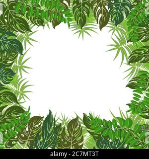 Trendy tropical leaves vector poster. Summer tropical nature green palm leaves poster background design Stock Vector