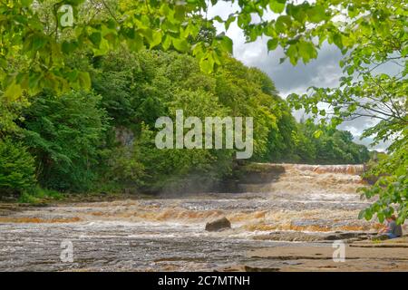 River Ure Lower falls of the Aysgarth falls in the Yorkshire Dales National Park, North Yorkshire, England. Stock Photo
