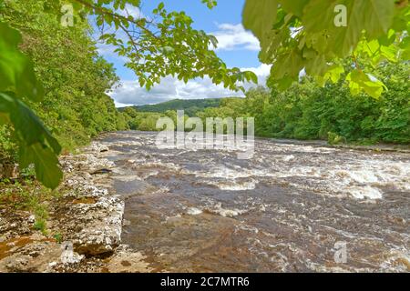 River Ure below Aysgarth falls at Aysgarth in the Yorkshire Dales National Park, North Yorkshire, England. Stock Photo