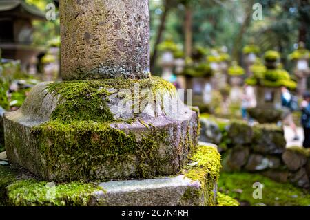 Nara, Japan Kasuga taisha shrine stone lanterns covered in green moss in spring forest with closeup of one lamp texture Stock Photo