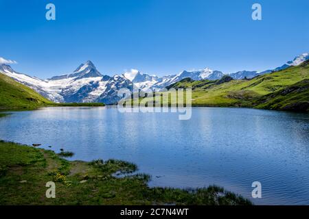 Picturesque view of mountain lake Bachalpsee with the snow capped peaks of Wetterhorn, Schreckhorn and finsteraarhorn in the background. Grindelwald, Stock Photo