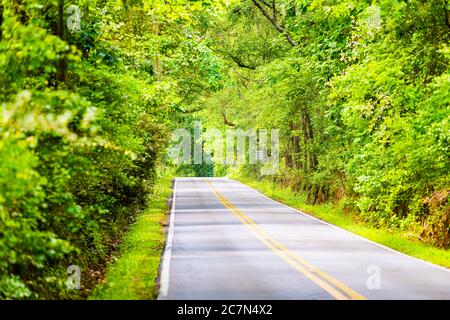 Tallahassee, USA Miccosukee street scenic canopy road with nobody in Florida during day with southern live oak trees Stock Photo