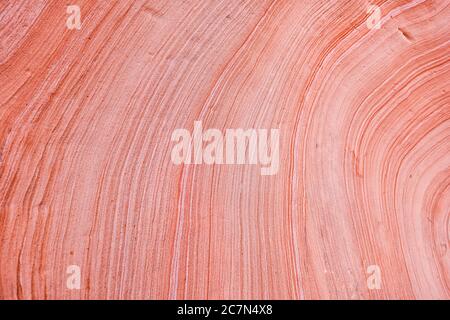 Red pink sandstone layers wave formation on rock wall cliff abstract closeup of design in Zion National Park in Utah on Gifford Canyon trail Stock Photo