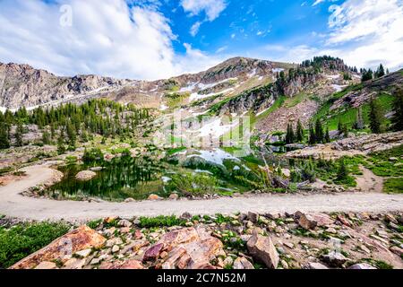 Albion Basin, Utah summer with wide angle view reflection of water on Cecret Lake in Wasatch mountains with green color Stock Photo