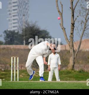 Full length of cricketer playing on field during sunny day, Cricketer on the field in action, Players playing cricket match at field during the day ti Stock Photo