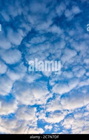 Clouds on the blue sky at sunset, nature abstract background. Stock Photo