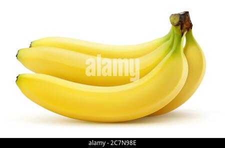 Vector bunch of banana on white background Stock Vector