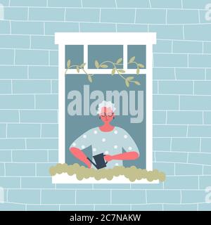 Elderly woman is watering flowers on a windowsill. The old woman at the open window. View from the street side. Funky flat style. Vector illustration Stock Vector