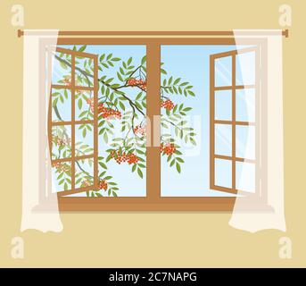 Rowan branch outside the window. Orange berries with green leaves. Open window with curtains on a beige background. Vector illustration Stock Vector