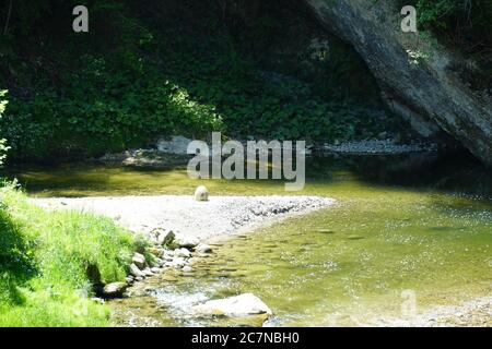 A small sandy bay in a shallow river enlightened by sun and contrasting with the river bank that is cast in shadow. A scene from the St. Gallen. Stock Photo