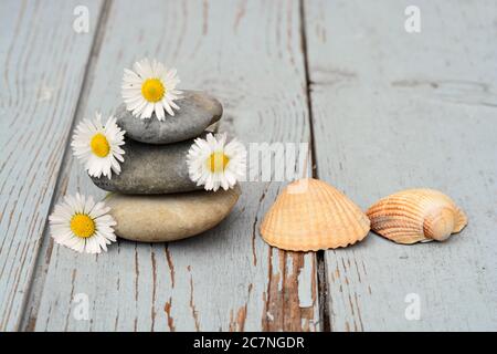 Closeup shot of pebbles stacked on top of each other next to daisies  and seashells on wooden floor Stock Photo