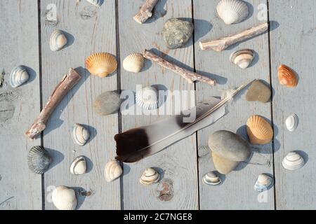 Top view high angle closeup shot of a feather, twigs, stones, seashells lying on a wooden surface Stock Photo