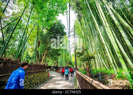 Kyoto, Japan - April 12, 2019: Famous Sagano Arashiyama bamboo forest grove park with people tourists wide angle view on spring day with green foliage Stock Photo