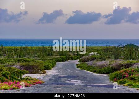 Beautiful view of a road to the beach through the greenery in Aruba Stock Photo