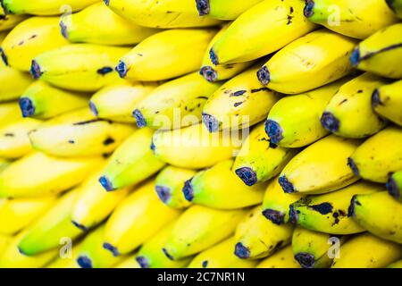 Closeup shot of fresh bananas in a bunch - perfect for background