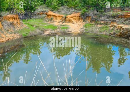 Beautiful Deep Pond In Forest Looking Awesome 01. Stock Photo