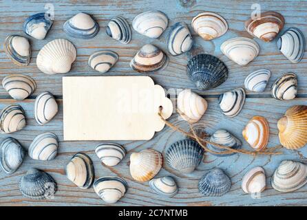 Closeup of the different seashells with a small wooden message card on the wooden surface Stock Photo