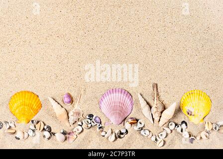 Flat lay composition with colourful sea shells and corals on sand, flat lay, copy space. Travel and vacation concept Stock Photo