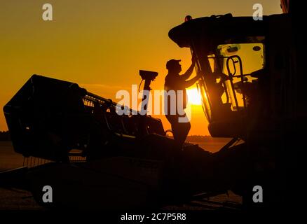 Petersdorf, Germany. 18th July, 2020. In the backlight of the sunset, a farmer from the Markus Grund farm cleans the windows of his combine harvester. Until late in the evening, grain of the triticale variety, a cross between wheat and rye, was harvested in this field in the Oder-Spree district of East Brandenburg. Credit: Patrick Pleul/dpa-Zentralbild/ZB/dpa/Alamy Live News Stock Photo