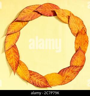 Autumn composition. Wreath made of autumn leaves on yellow background. Round frame. Fall, thanksgiving day concept. Flat lay, top view, copy space Stock Photo