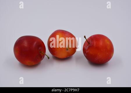 Three ripe fruits of a large dessert cherry plum, an early variety growing in Ukraine. Waste sweet, healthy fruits for your health and life. Stock Photo