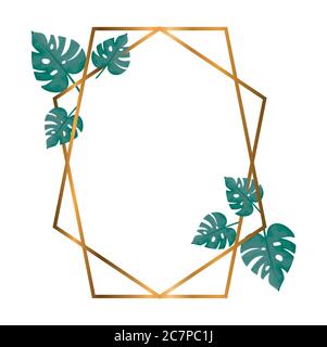 geometric polygonal frames with golden lines and leaves vector illustration design Stock Vector