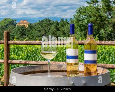 Two bottles and a glass of white wine on a wooden barrel with the Tuscan countryside in the background, Italy, on a sunny day Stock Photo