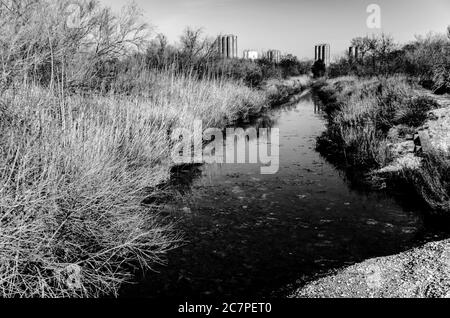 Grayscale shot of the river surrounded by grass, trees, and silos in Rognac, Etang de Berre, France Stock Photo