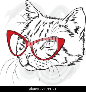 Funny cat in a mask for diving. Vector illustration. Stock Vector