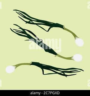 Onion. Vector illustration. Branch with onion, onion leaves Stock Vector